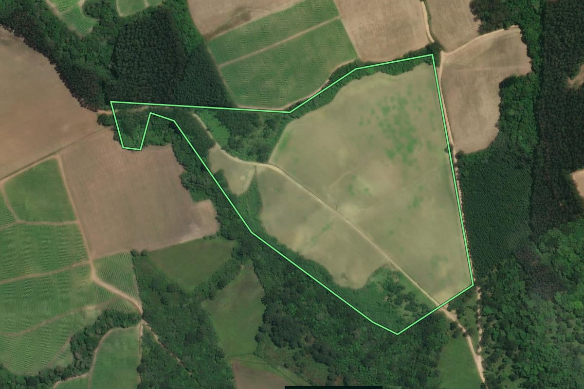 Imagem de satélite do imóvel rural em Rio Negro (PR), com o contorno declarado no CAR desenhado por cima.