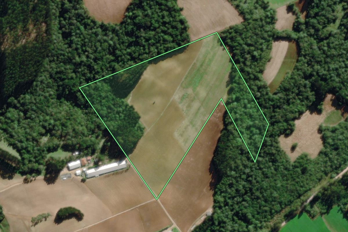 Imagem de satélite do imóvel rural em Rio Negro (PR), com o contorno declarado no CAR desenhado por cima.
