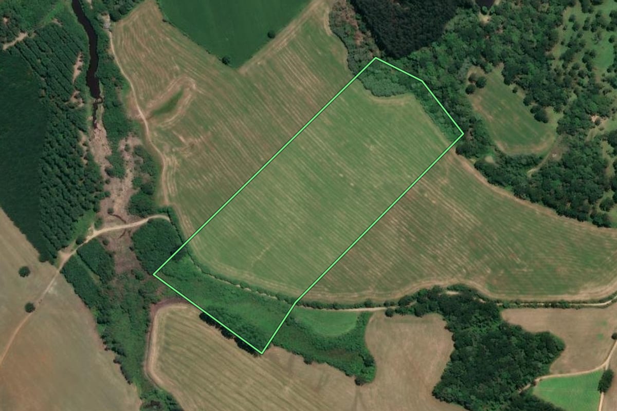 Imagem de satélite do imóvel rural em Rio Negro (PR), com o contorno declarado no CAR desenhado por cima.