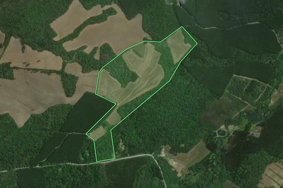 Imagem de satélite do imóvel rural em Rio Negro (PR), com o contorno declarado no CAR desenhado por cima.