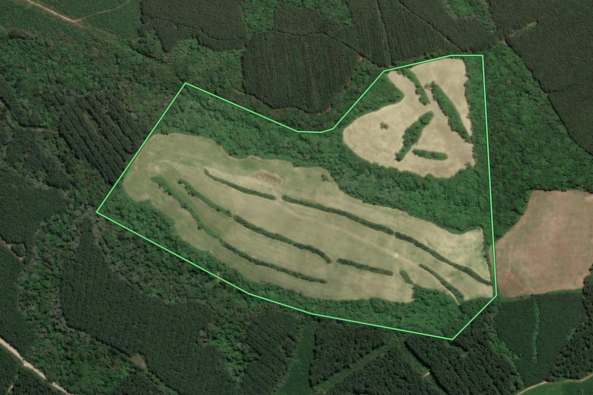 Imagem de satélite do imóvel rural em Rio Negro (PR), com o contorno declarado no CAR desenhado por cima.