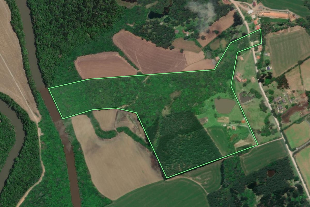 Imagem de satélite do imóvel rural em Rio Negro (PR), com o contorno declarado no CAR desenhado por cima.