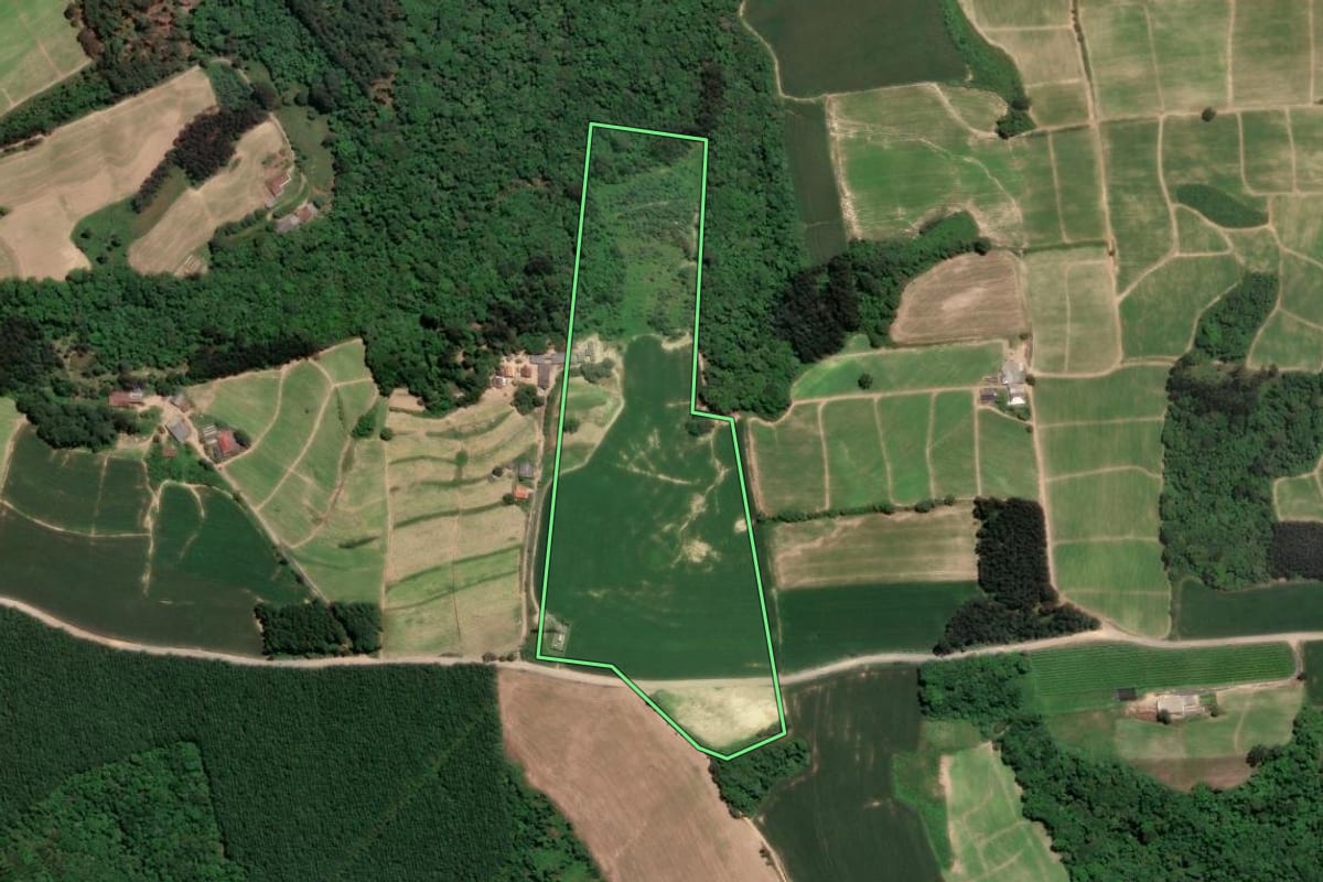 Imagem de satélite do imóvel rural em Rio Negro (PR), com o contorno declarado no CAR desenhado por cima.