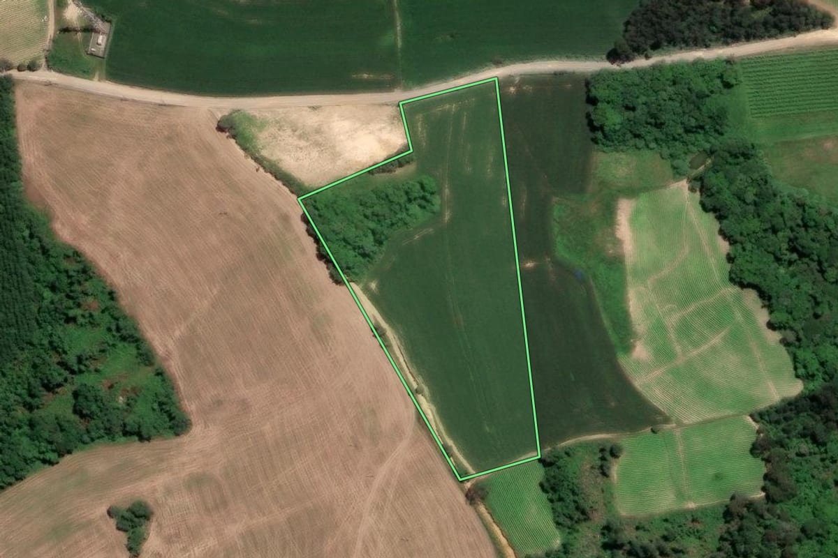 Imagem de satélite do imóvel rural em Rio Negro (PR), com o contorno declarado no CAR desenhado por cima.