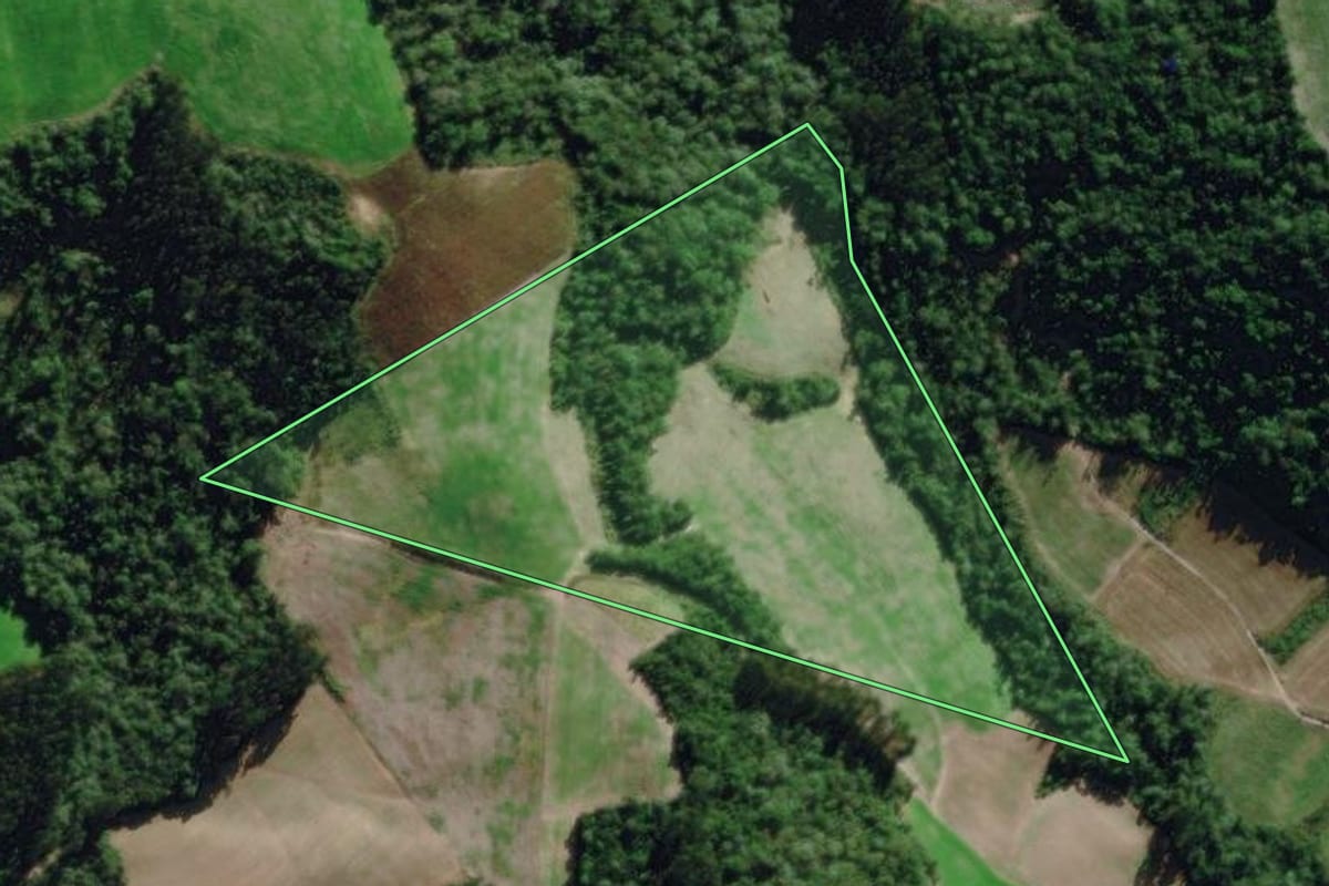 Imagem de satélite do imóvel rural em Rio Negro (PR), com o contorno declarado no CAR desenhado por cima.
