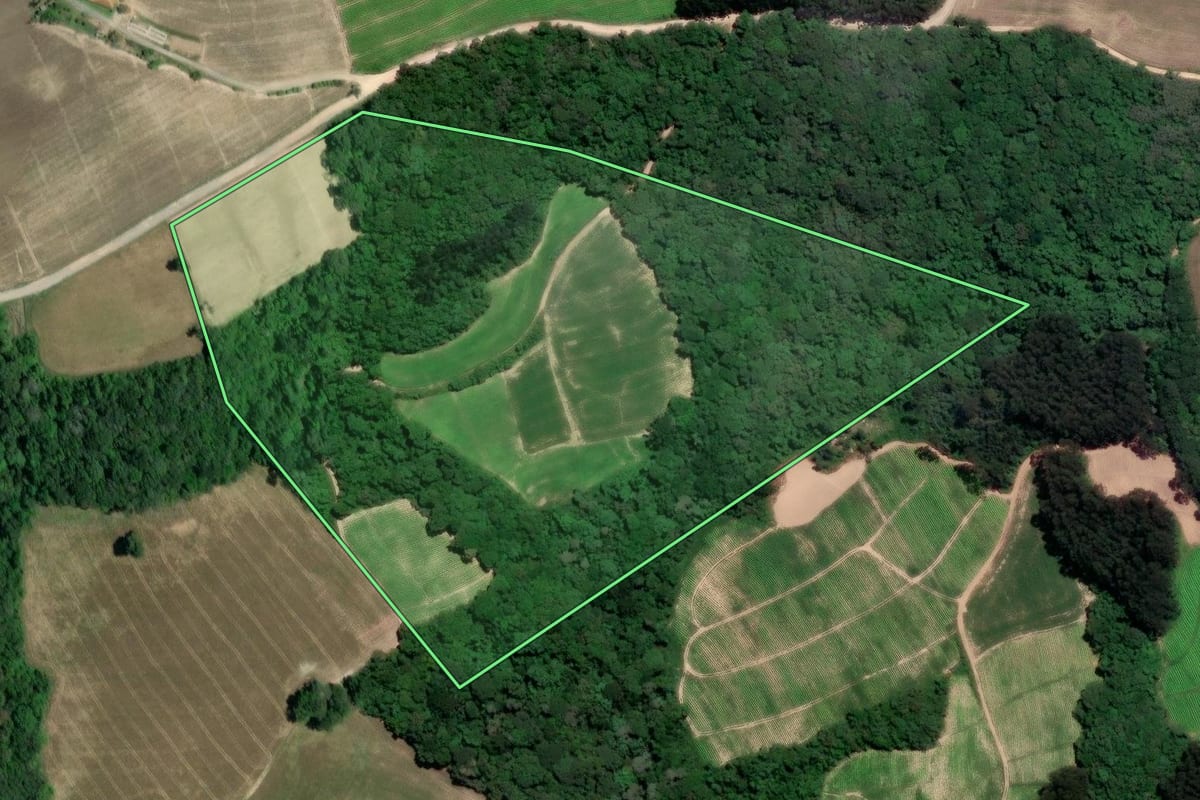 Imagem de satélite do imóvel rural em Rio Negro (PR), com o contorno declarado no CAR desenhado por cima.