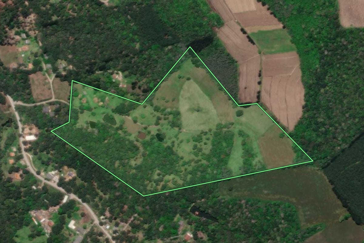 Imagem de satélite do imóvel rural em Rio Negro (PR), com o contorno declarado no CAR desenhado por cima.