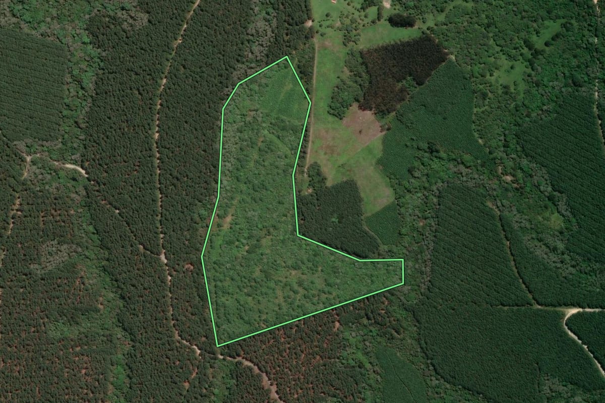 Imagem de satélite do imóvel rural em Rio Negro (PR), com o contorno declarado no CAR desenhado por cima.