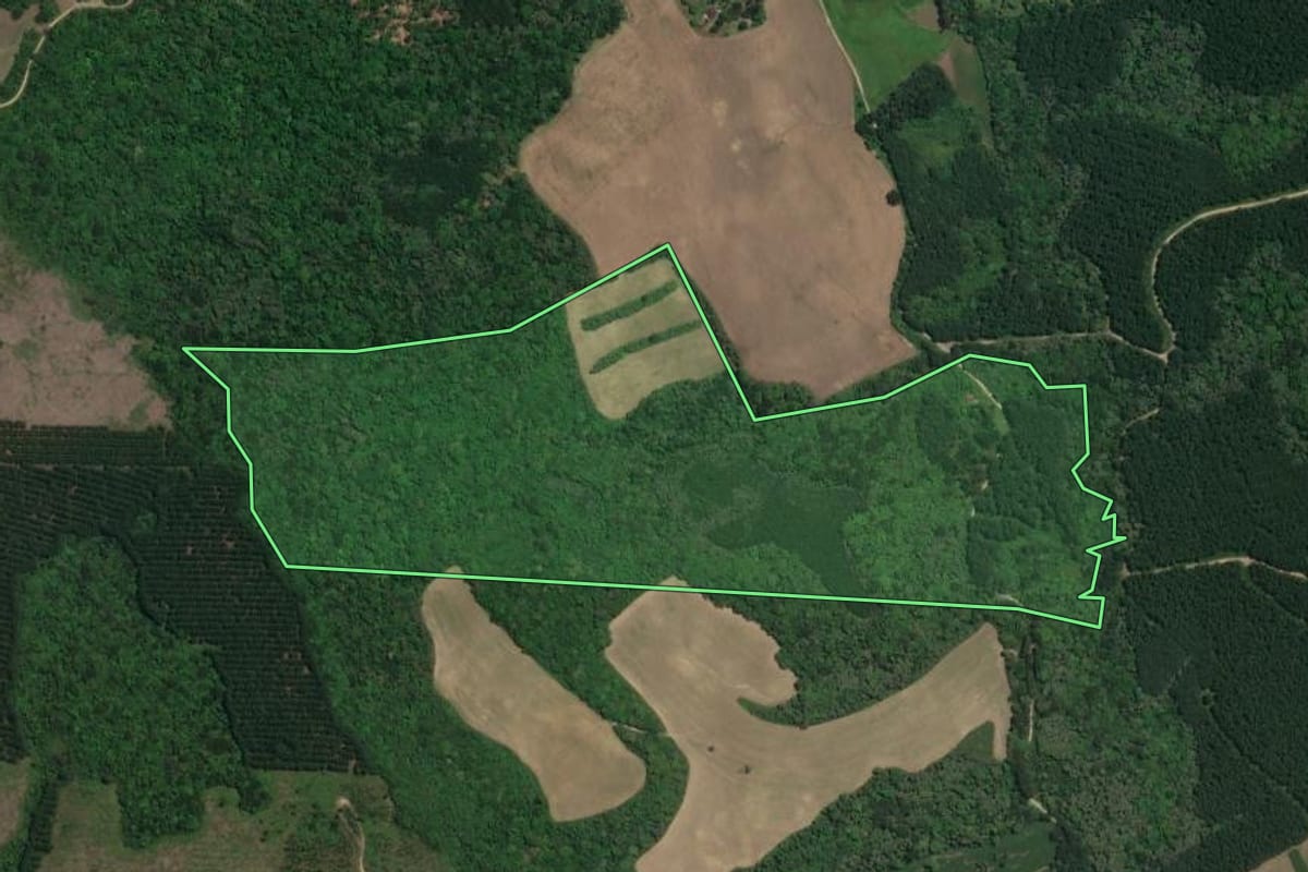 Imagem de satélite do imóvel rural em Rio Negro (PR), com o contorno declarado no CAR desenhado por cima.
