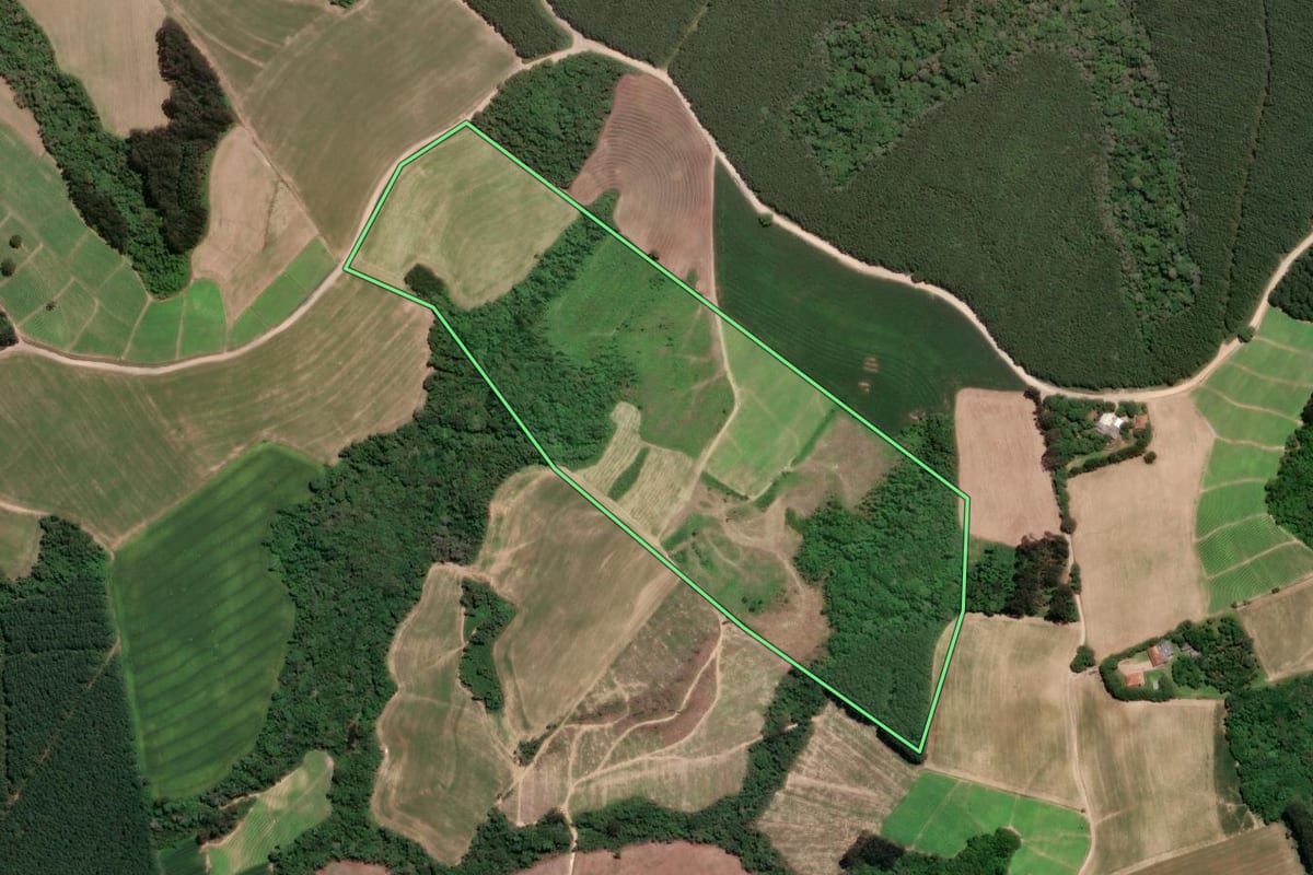 Imagem de satélite do imóvel rural em Rio Negro (PR), com o contorno declarado no CAR desenhado por cima.