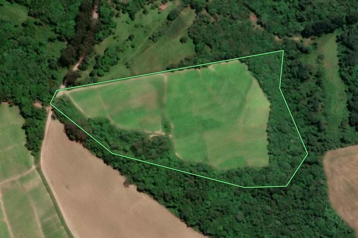 Imagem de satélite do imóvel rural em Rio Negro (PR), com o contorno declarado no CAR desenhado por cima.