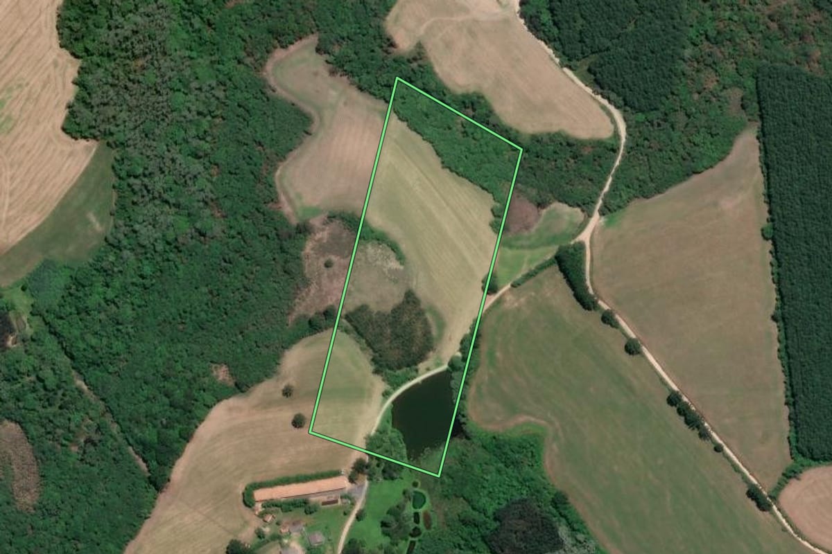 Imagem de satélite do imóvel rural em Rio Negro (PR), com o contorno declarado no CAR desenhado por cima.