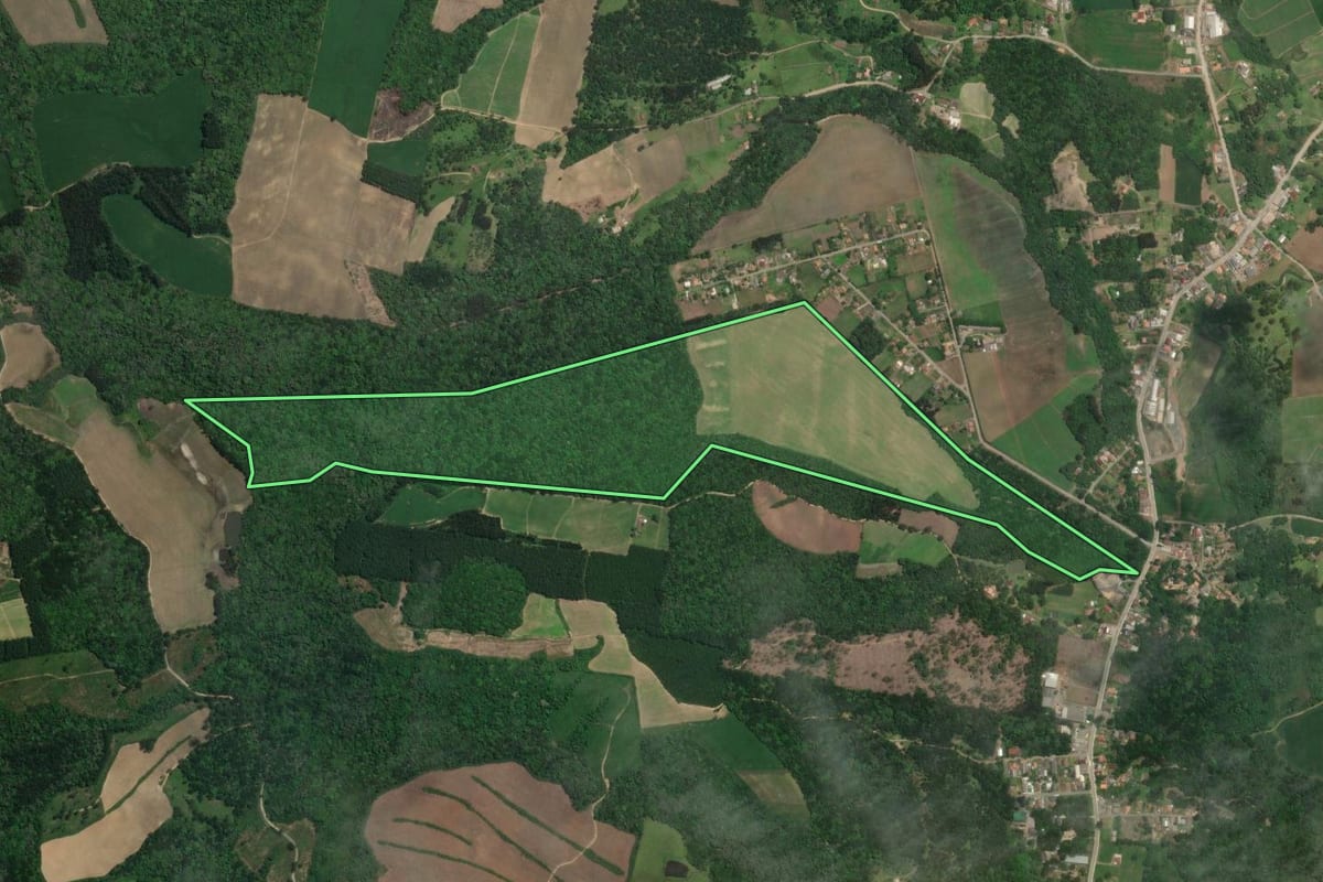 Imagem de satélite do imóvel rural em Rio Negro (PR), com o contorno declarado no CAR desenhado por cima.
