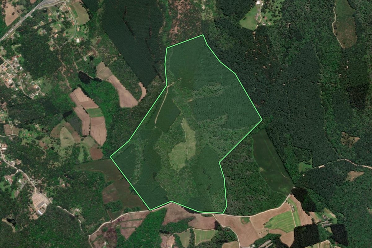 Imagem de satélite do imóvel rural em Rio Negro (PR), com o contorno declarado no CAR desenhado por cima.