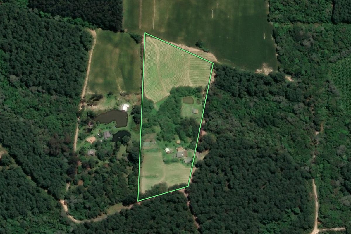 Imagem de satélite do imóvel rural em Rio Negro (PR), com o contorno declarado no CAR desenhado por cima.