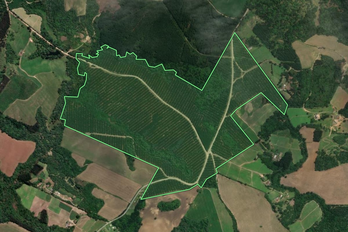 Imagem de satélite do imóvel rural em Rio Negro (PR), com o contorno declarado no CAR desenhado por cima.