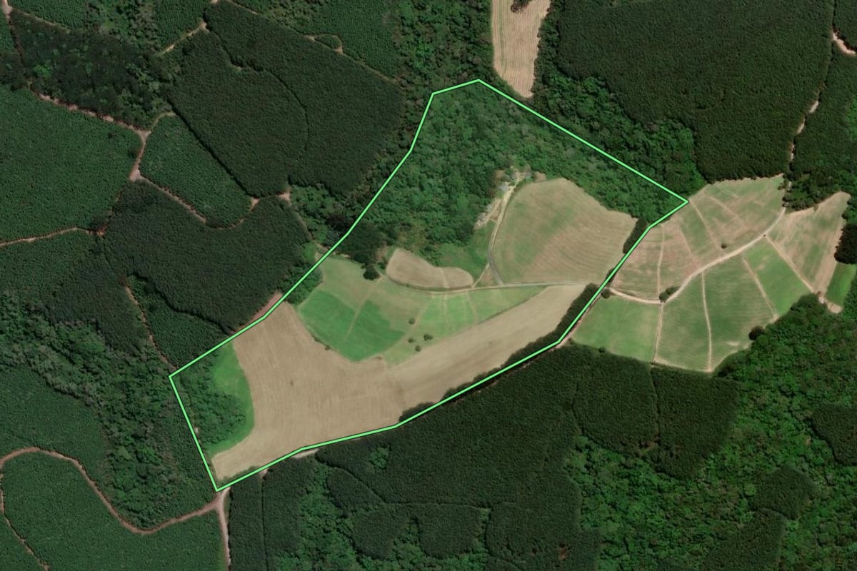 Imagem de satélite do imóvel rural em Rio Negro (PR), com o contorno declarado no CAR desenhado por cima.