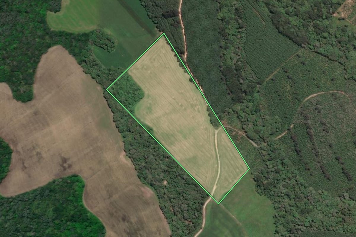Imagem de satélite do imóvel rural em Rio Negro (PR), com o contorno declarado no CAR desenhado por cima.