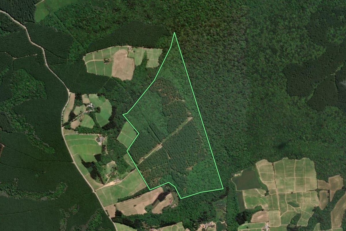 Imagem de satélite do imóvel rural em Rio Negro (PR), com o contorno declarado no CAR desenhado por cima.