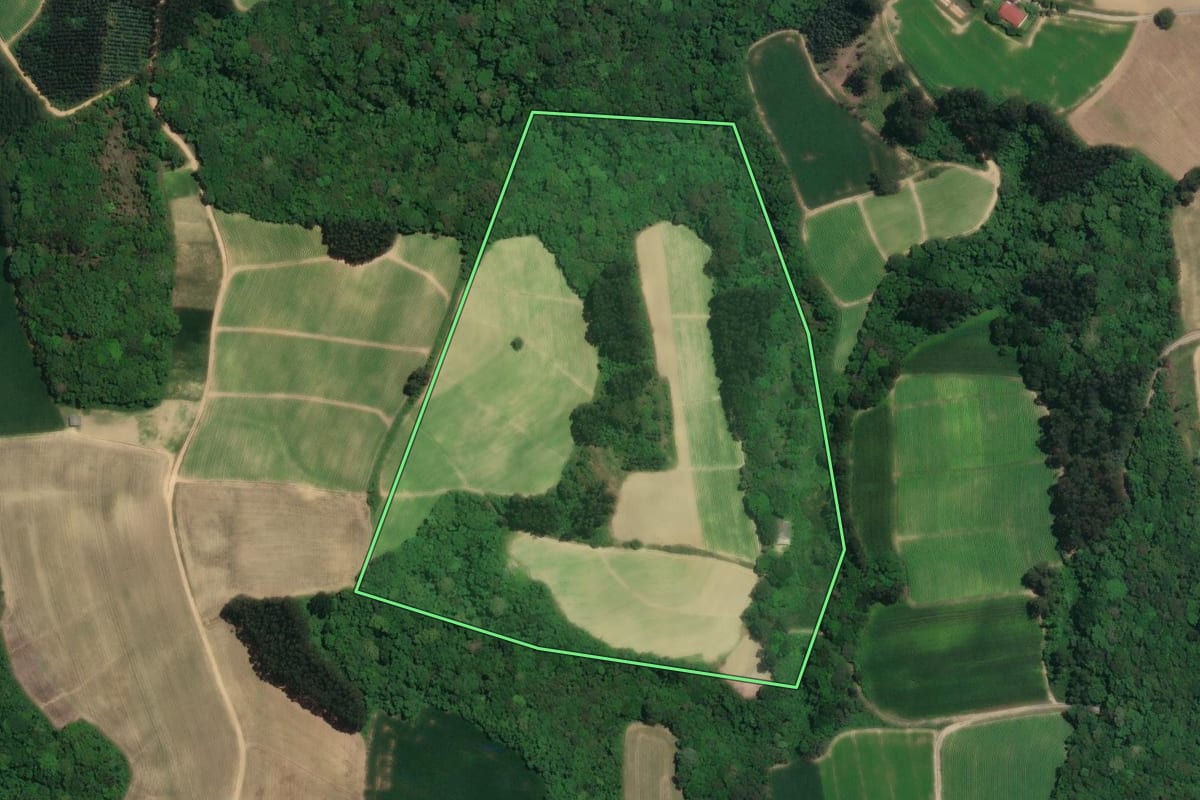 Imagem de satélite do imóvel rural em Rio Negro (PR), com o contorno declarado no CAR desenhado por cima.