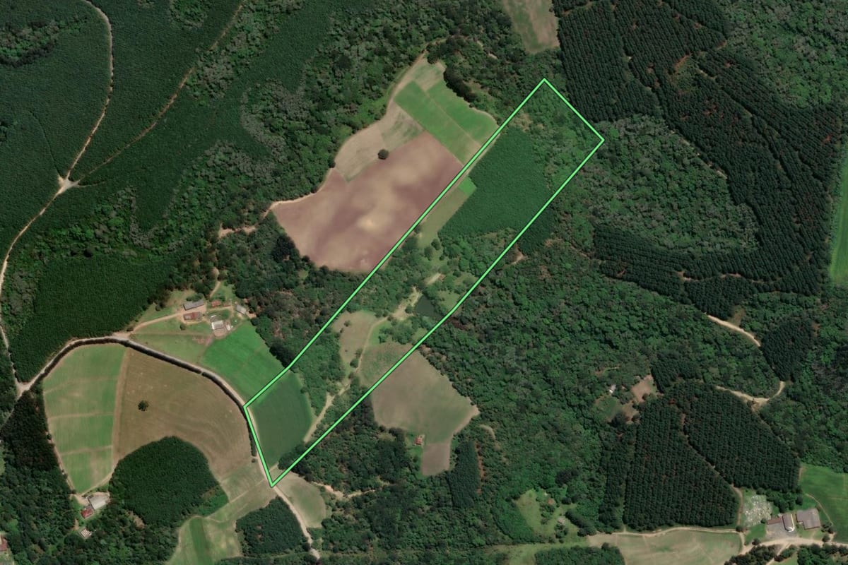 Imagem de satélite do imóvel rural em Rio Negro (PR), com o contorno declarado no CAR desenhado por cima.