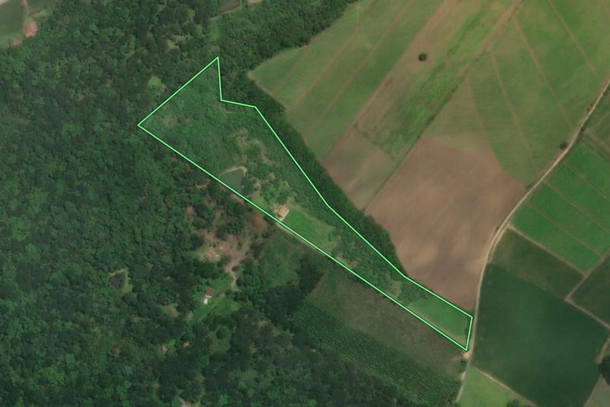 Imagem de satélite do imóvel rural em Rio Negro (PR), com o contorno declarado no CAR desenhado por cima.