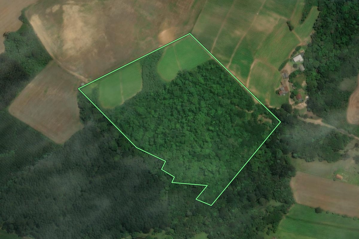 Imagem de satélite do imóvel rural em Rio Negro (PR), com o contorno declarado no CAR desenhado por cima.