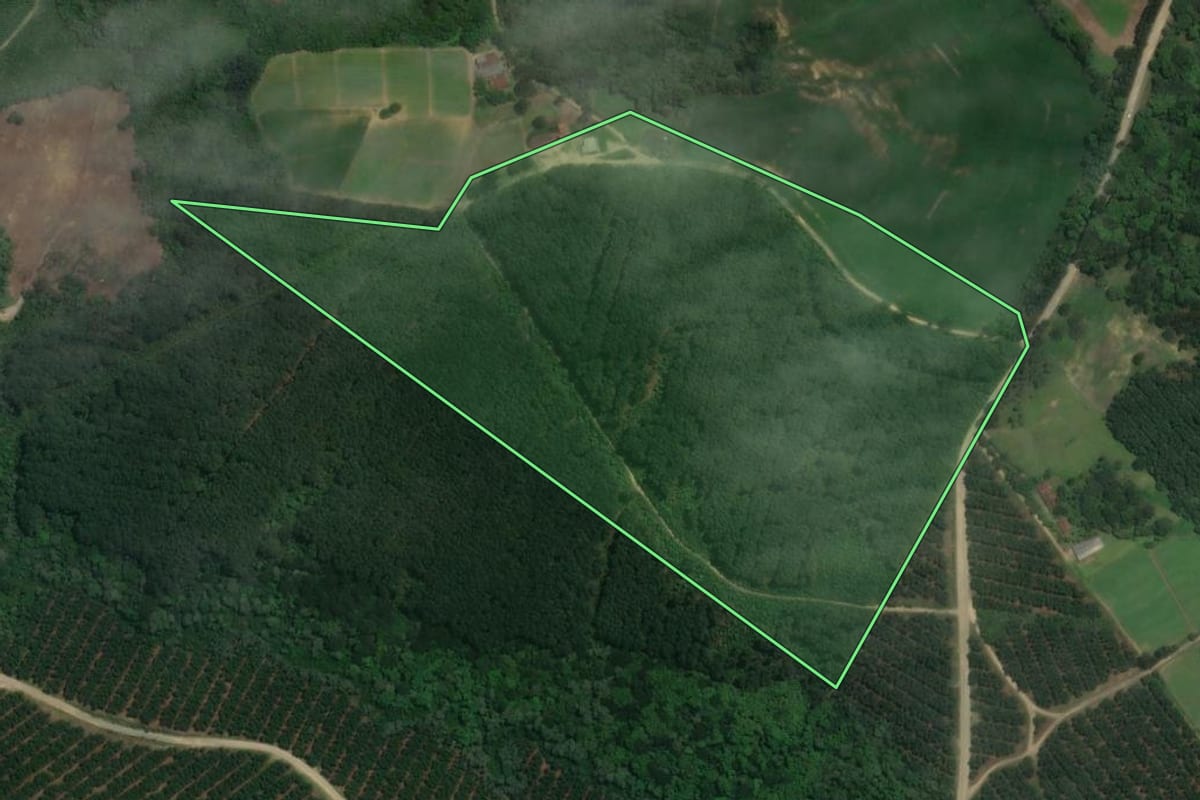 Imagem de satélite do imóvel rural em Rio Negro (PR), com o contorno declarado no CAR desenhado por cima.