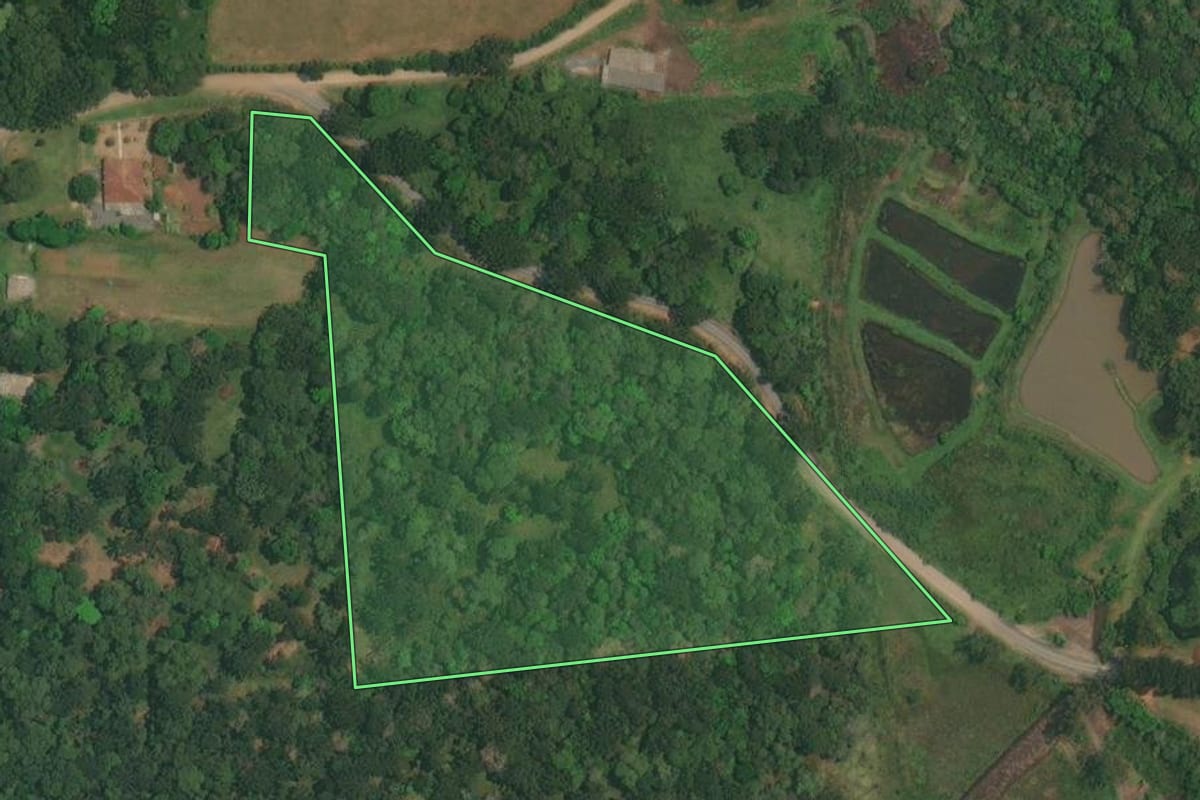 Imagem de satélite do imóvel rural em Rio Negro (PR), com o contorno declarado no CAR desenhado por cima.