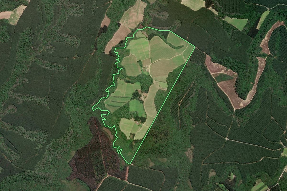 Imagem de satélite do imóvel rural em Rio Negro (PR), com o contorno declarado no CAR desenhado por cima.