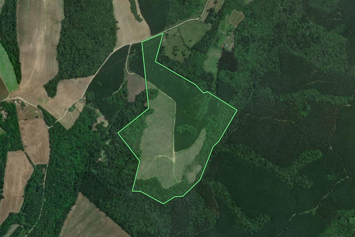 Imagem de satélite do imóvel rural em Rio Negro (PR), com o contorno declarado no CAR desenhado por cima.