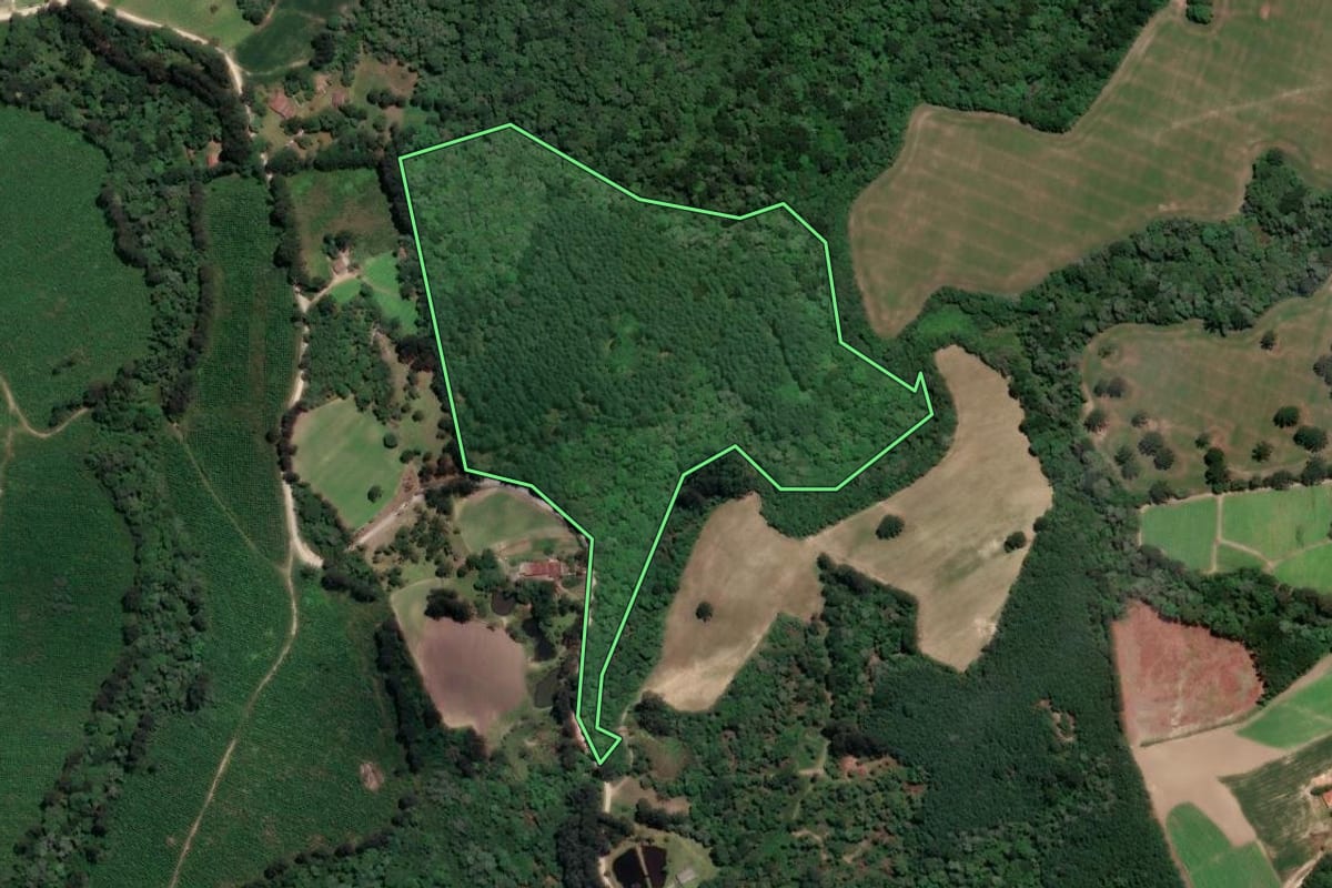 Imagem de satélite do imóvel rural em Rio Negro (PR), com o contorno declarado no CAR desenhado por cima.