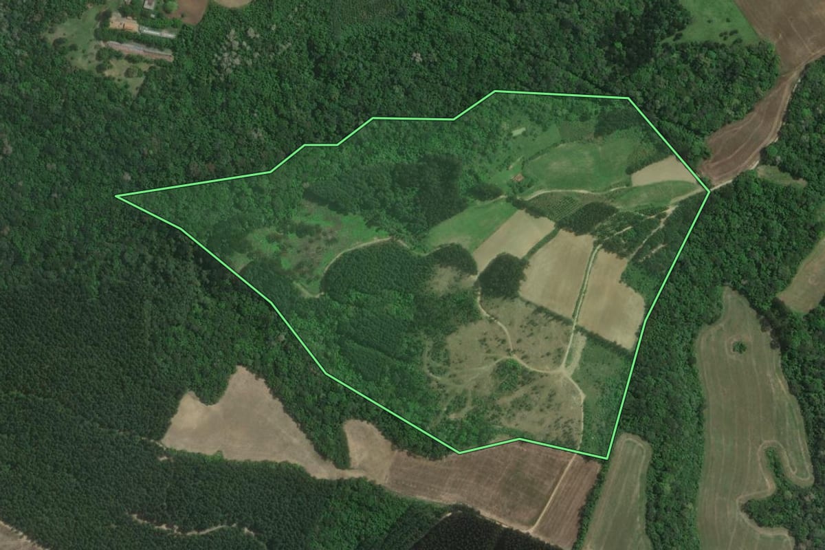 Imagem de satélite do imóvel rural em Rio Negro (PR), com o contorno declarado no CAR desenhado por cima.