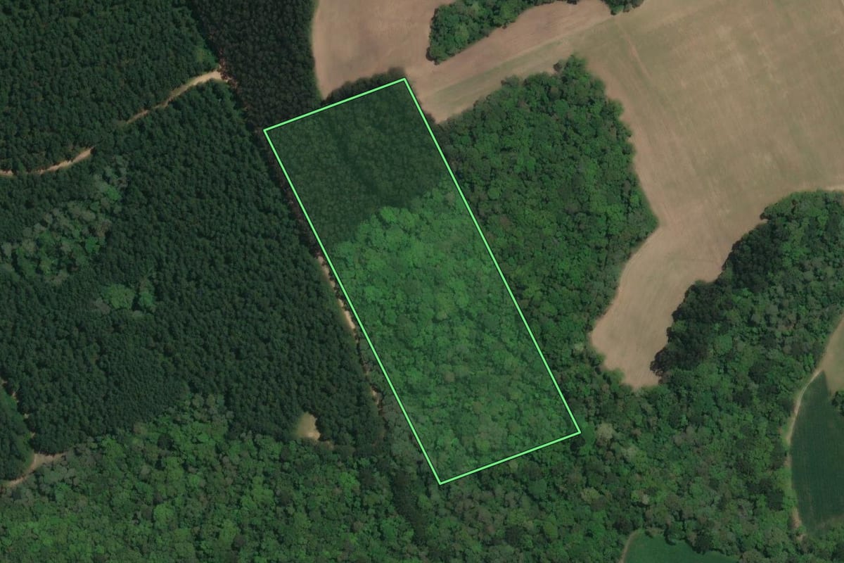 Imagem de satélite do imóvel rural em Rio Negro (PR), com o contorno declarado no CAR desenhado por cima.