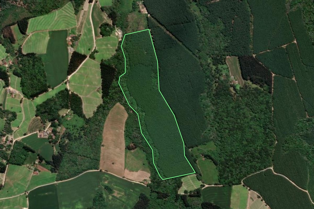Imagem de satélite do imóvel rural em Rio Negro (PR), com o contorno declarado no CAR desenhado por cima.