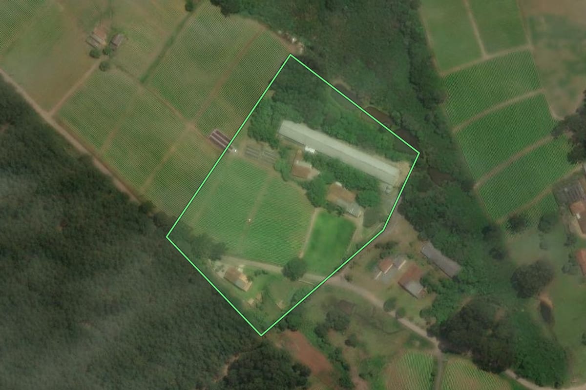 Imagem de satélite do imóvel rural em Rio Negro (PR), com o contorno declarado no CAR desenhado por cima.