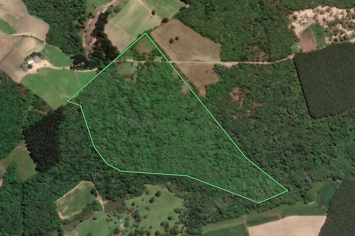 Imagem de satélite do imóvel rural em Rio Negro (PR), com o contorno declarado no CAR desenhado por cima.