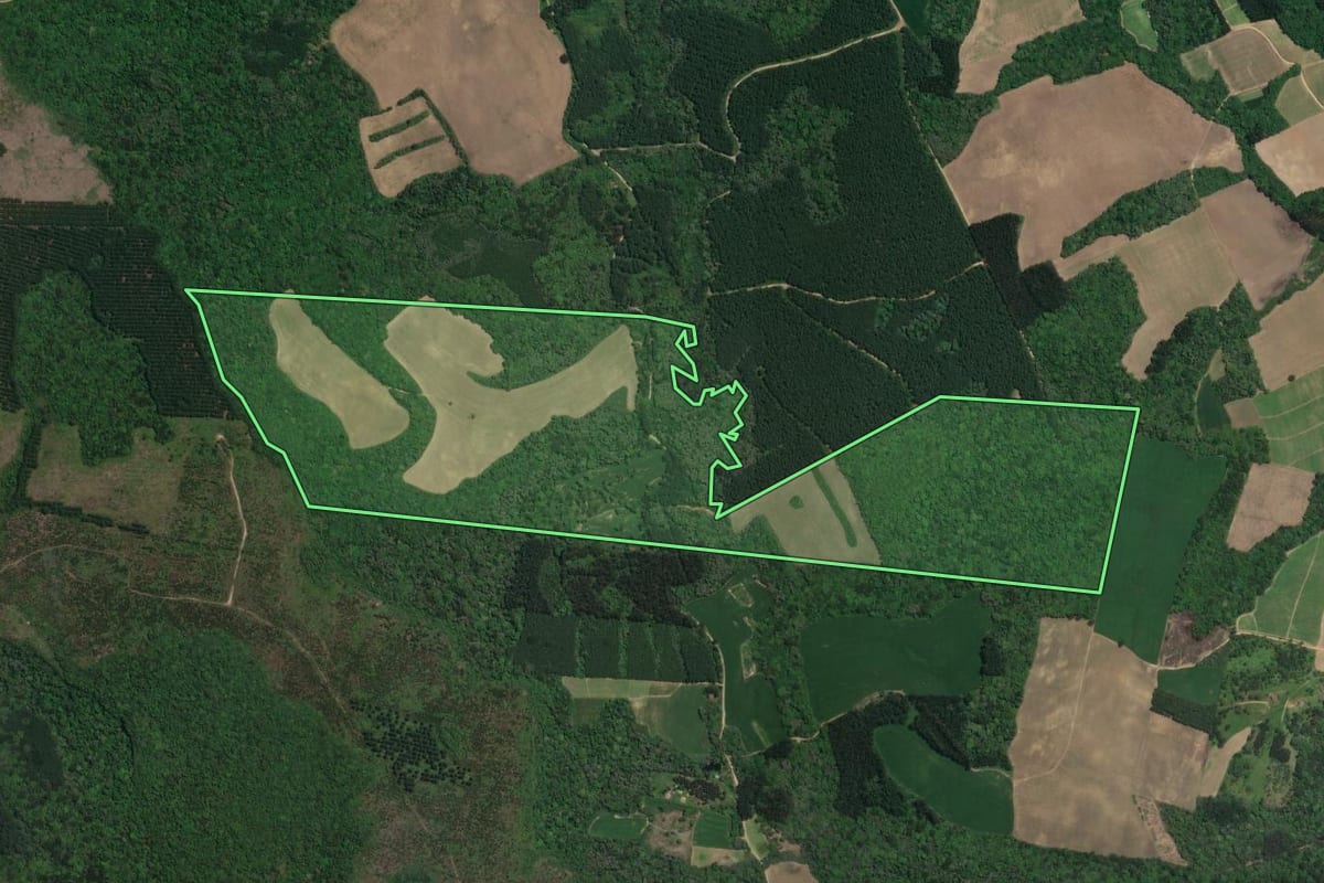 Imagem de satélite do imóvel rural em Rio Negro (PR), com o contorno declarado no CAR desenhado por cima.