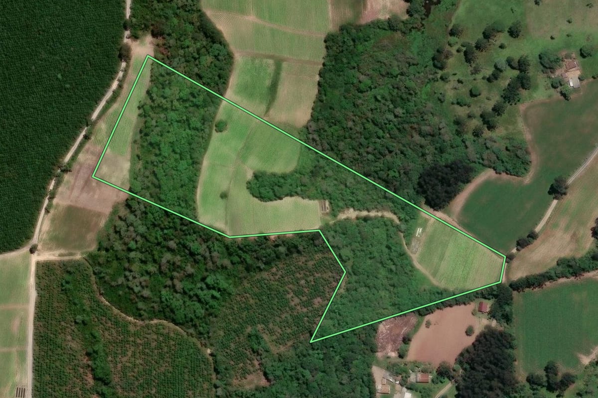Imagem de satélite do imóvel rural em Rio Negro (PR), com o contorno declarado no CAR desenhado por cima.