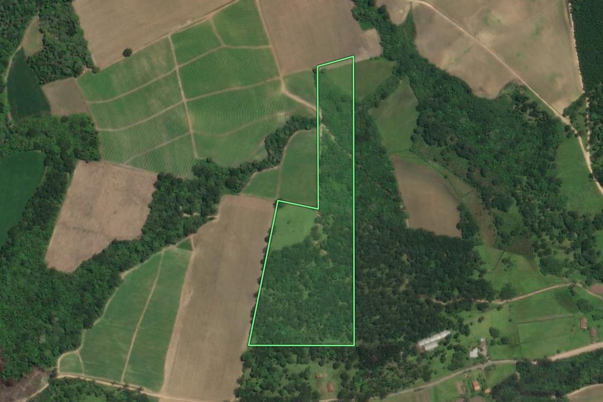 Imagem de satélite do imóvel rural em Rio Negro (PR), com o contorno declarado no CAR desenhado por cima.