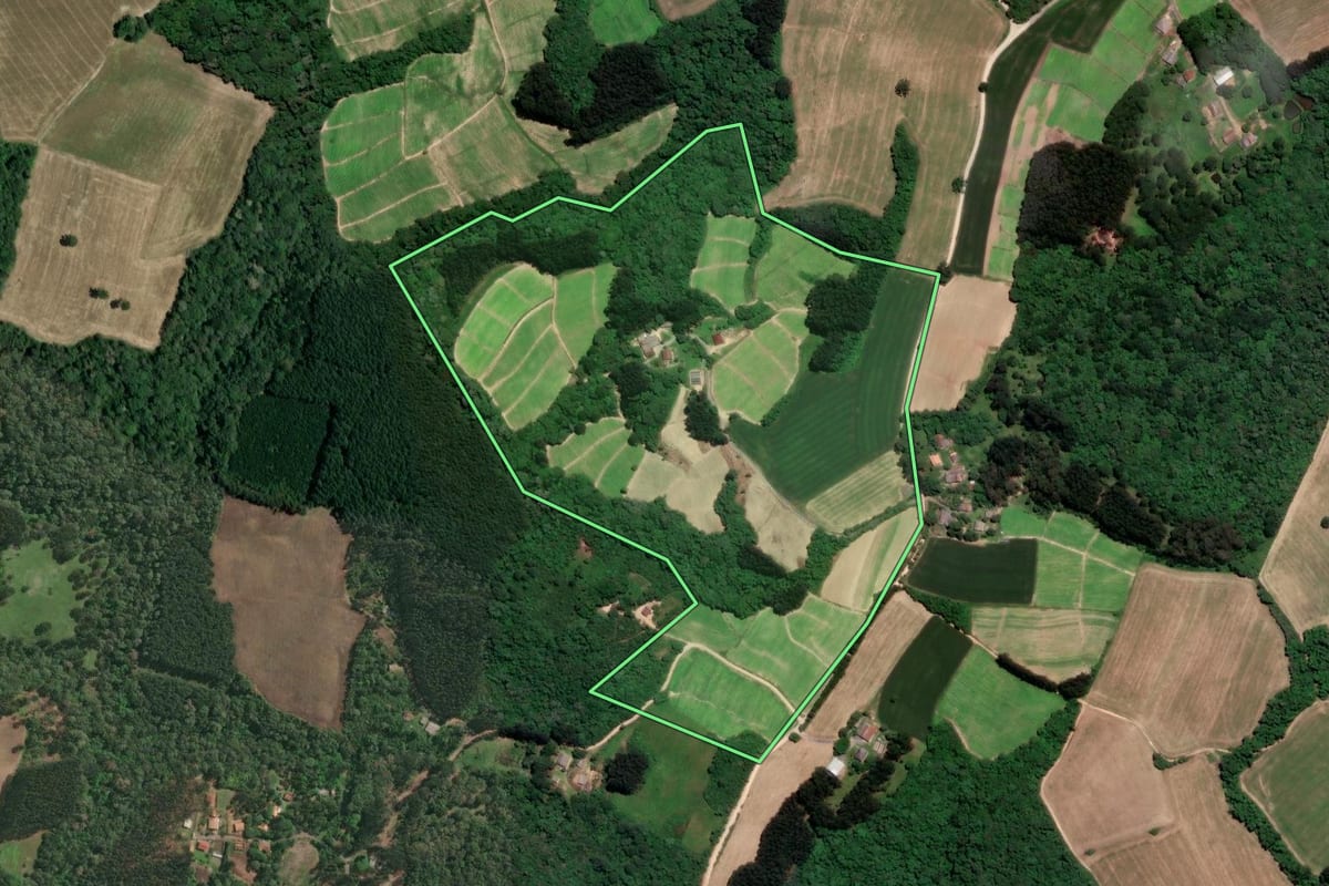 Imagem de satélite do imóvel rural em Rio Negro (PR), com o contorno declarado no CAR desenhado por cima.