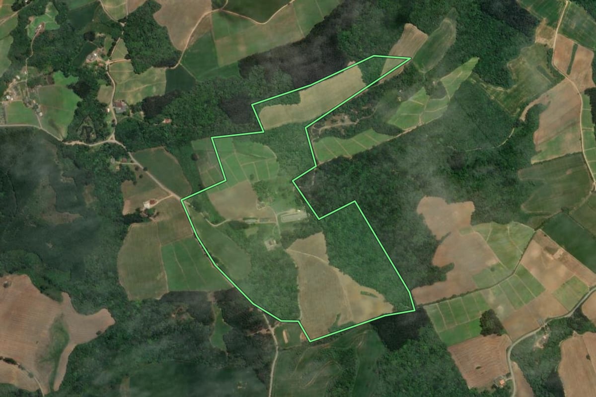 Imagem de satélite do imóvel rural em Rio Negro (PR), com o contorno declarado no CAR desenhado por cima.