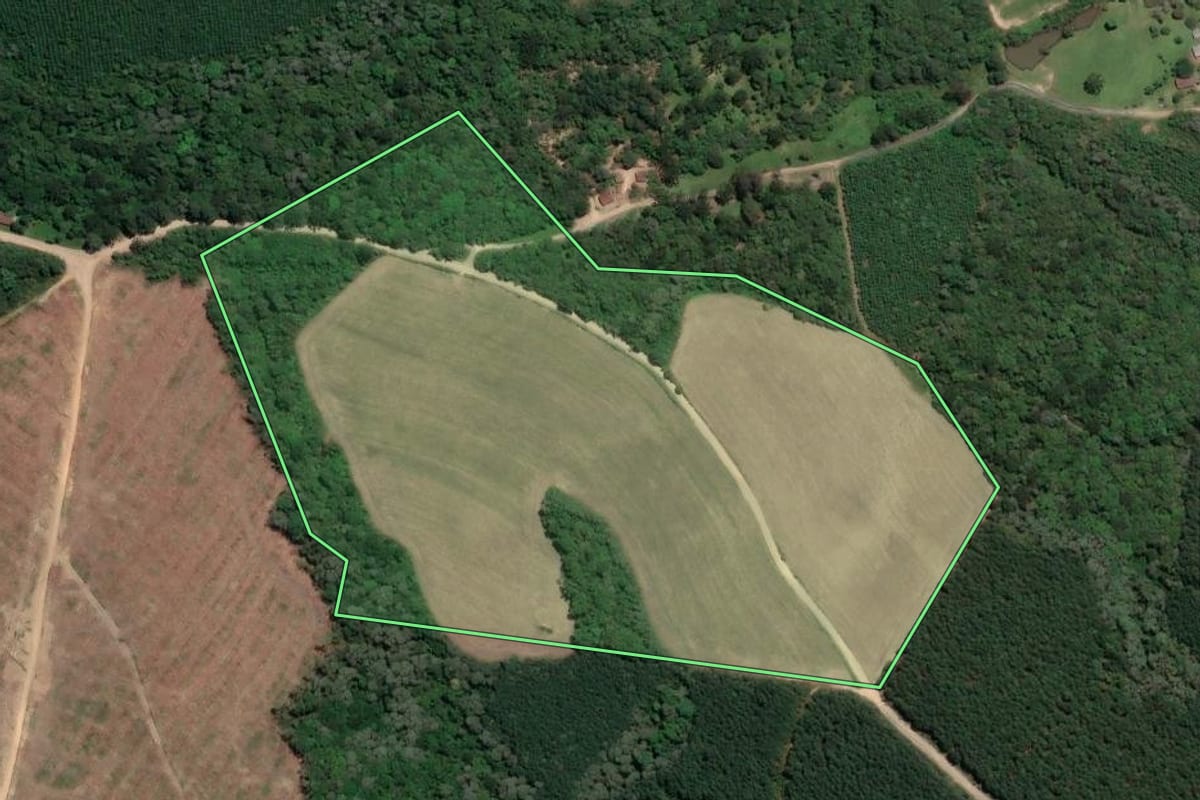 Imagem de satélite do imóvel rural em Rio Negro (PR), com o contorno declarado no CAR desenhado por cima.