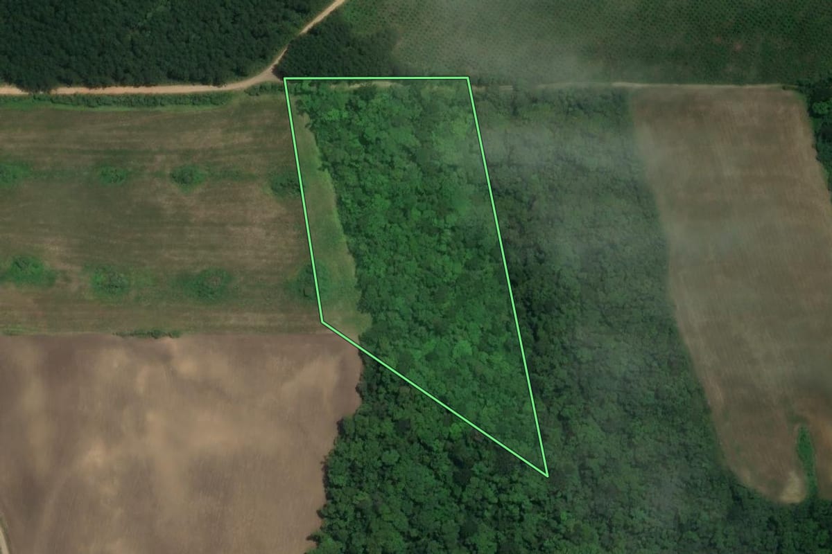Imagem de satélite do imóvel rural em Rio Negro (PR), com o contorno declarado no CAR desenhado por cima.