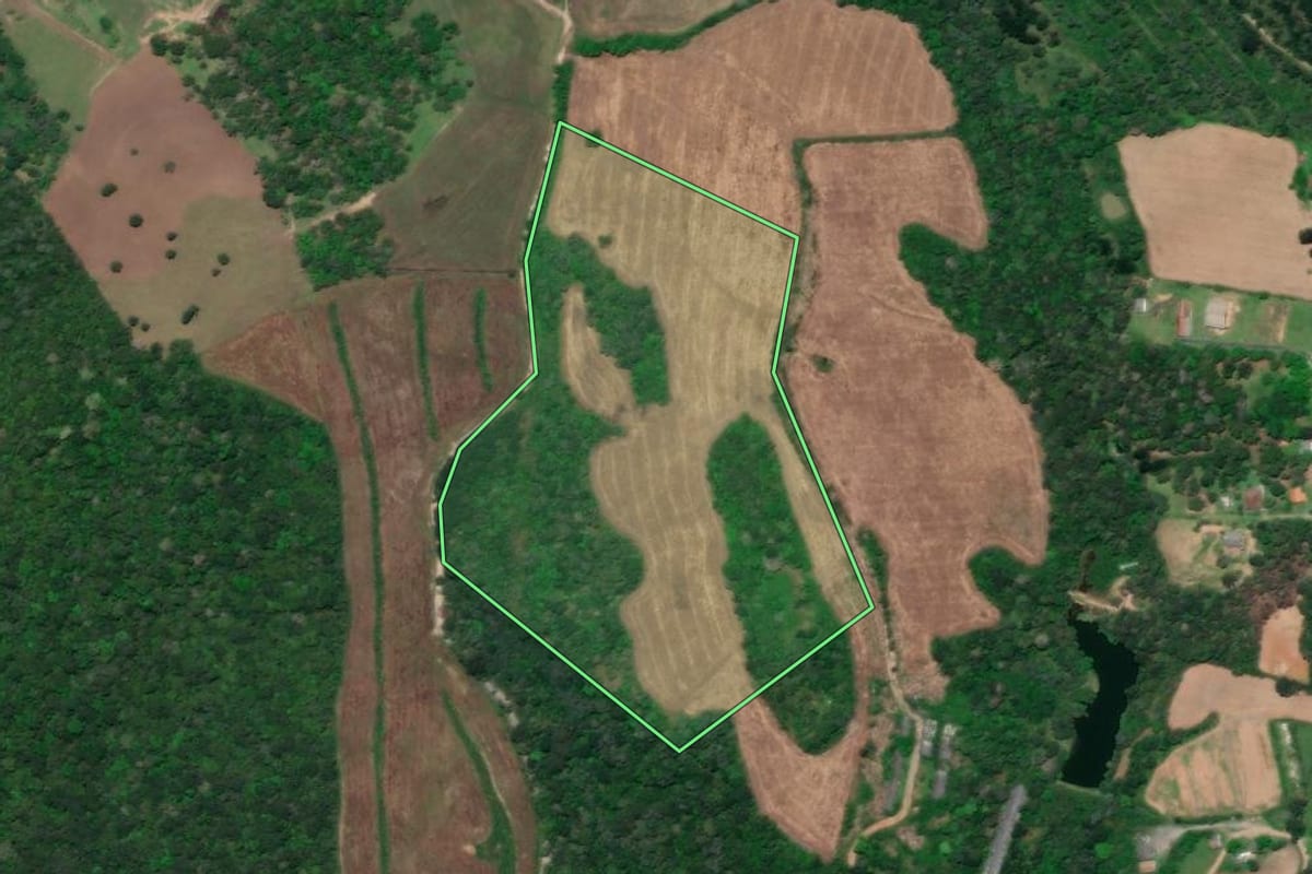 Imagem de satélite do imóvel rural em Rio Negro (PR), com o contorno declarado no CAR desenhado por cima.