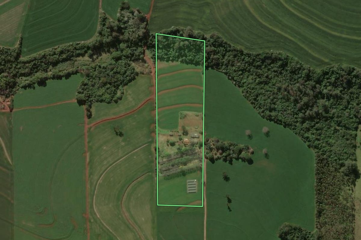 Imagem de satélite do imóvel rural em Rolândia (PR), com o contorno declarado no CAR desenhado por cima.