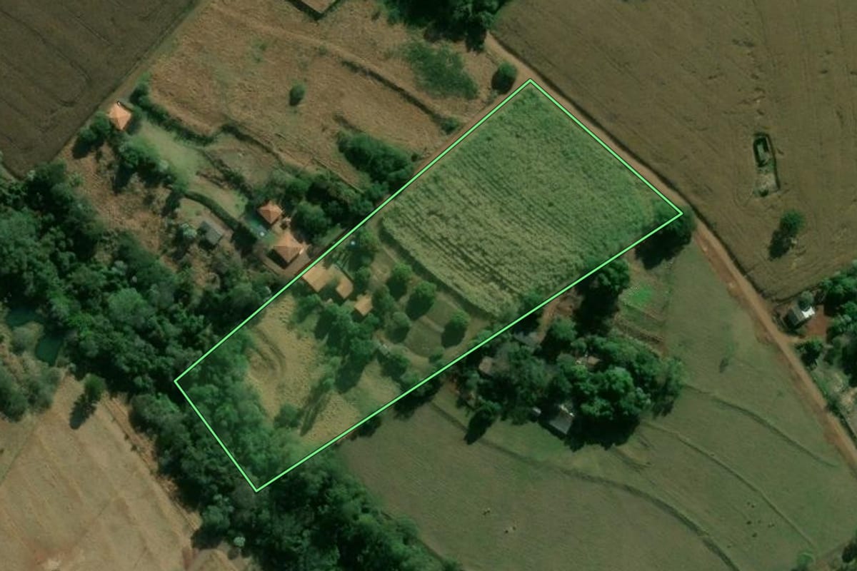 Imagem de satélite do imóvel rural em Rolândia (PR), com o contorno declarado no CAR desenhado por cima.
