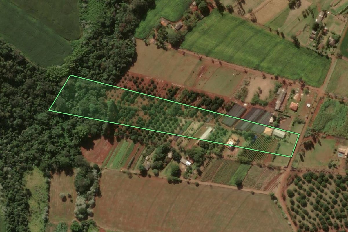 Imagem de satélite do imóvel rural em Rolândia (PR), com o contorno declarado no CAR desenhado por cima.