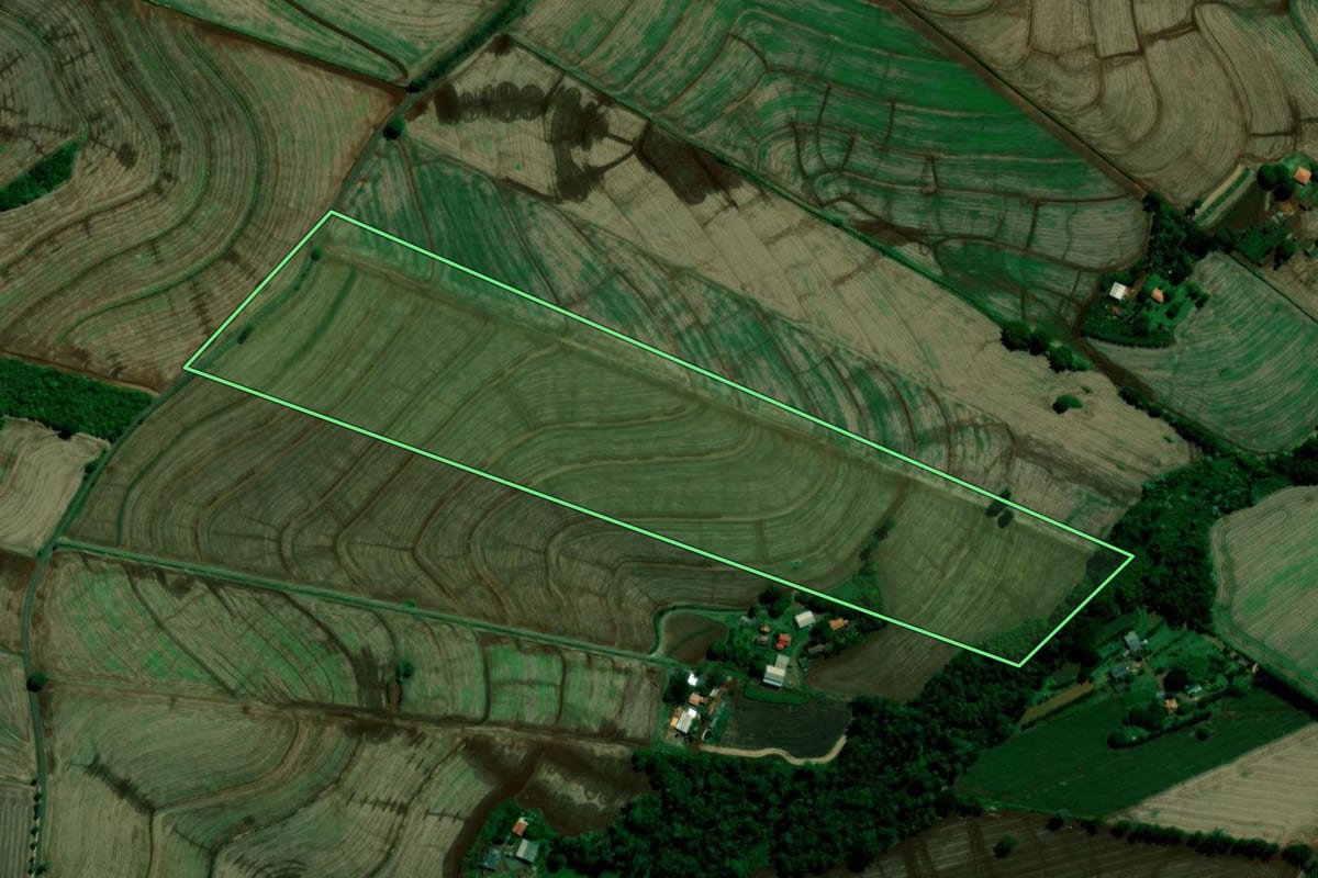 Imagem de satélite do imóvel rural em Rolândia (PR), com o contorno declarado no CAR desenhado por cima.