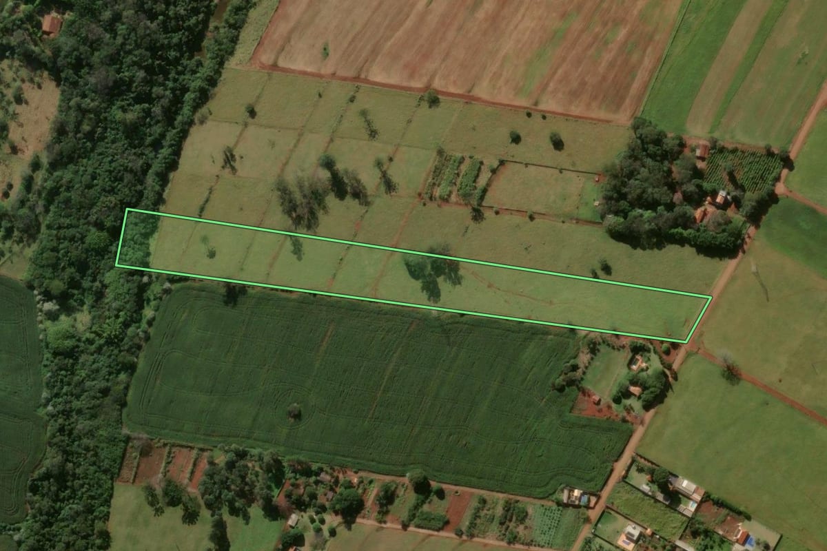 Imagem de satélite do imóvel rural em Rolândia (PR), com o contorno declarado no CAR desenhado por cima.
